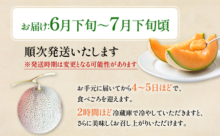 【2026年夏発送】富良野産 ヒグマのおくりもの(メロン)[1玉2kg以上] フルーツ 果物