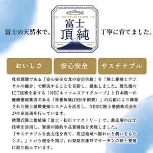 富士頂純サーモン こだわり焼き魚セット 西京漬け・塩麹漬け・焼きほぐしの3種入 【富士山麓のきれいな天然水で養殖された安心安全な サーモン 】 / 完全無投薬 ワクチンフリー サーモン 鮭 サケ シャケ 焼き魚 焼き鮭 鮭フレーク シャケフレーク ご飯のお供 おかず人気 魚 魚介【n0558_nes_A】