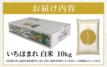 【令和7年産】福井県産 いちほまれ（白米）10kg [B-097001]