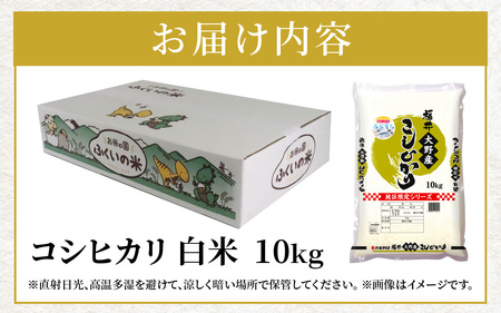【令和7年産】大野産コシヒカリ（白米）10kg【大野ブランド米 名水育ち】[B-097002]