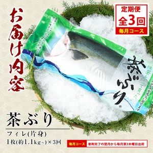 茶ぶりフィレ定期便 毎月 (全3回)  国産 鹿児島県産 ブリ 茶ぶり 鰤 海鮮 海産物 フィレ 魚介 魚 刺身 海鮮丼 産地直送 定期【ウスイ】usui-1602A