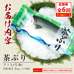 茶ぶりフィレ定期便 2ヶ月毎 (全6回)  国産 鹿児島県産 ブリ 茶ぶり 鰤 海鮮 海産物 フィレ 魚介 魚 刺身 海鮮丼 産地直送 定期【ウスイ】usui-1603B