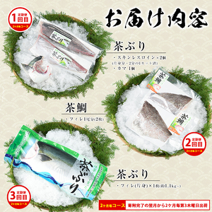 茶ぶり・茶鯛の定期便 2ヶ月毎 (全3回)  国産 鹿児島県産 ブリ 茶ぶり 鰤 茶鯛 鯛 海鮮 海産物 フィレ 魚介 魚 刺身 海鮮丼 産地直送 定期【ウスイ】usui-1604B