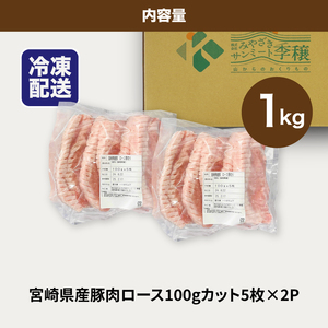贅沢宮崎県産豚肉ロース100gカット10枚_K16_0149_1