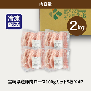 贅沢宮崎県産豚肉ロース100gカット20枚　 K16_0150