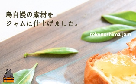 徳之島のしあわせ島ジャム200g（シークニン）( ジャム パン フルーツ 果物 南国 南の島 贅沢 濃厚 美味しい 徳之島 鹿児島 美農里館 世界自然遺産 美味しい 人気 )