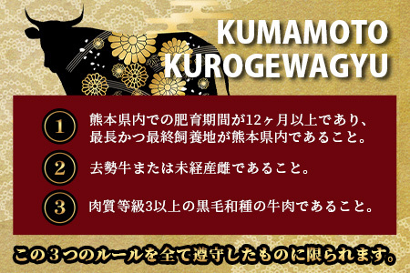 熊本県産 くまもと黒毛和牛 ミンチ 2kg (500g ×4) 113-0505