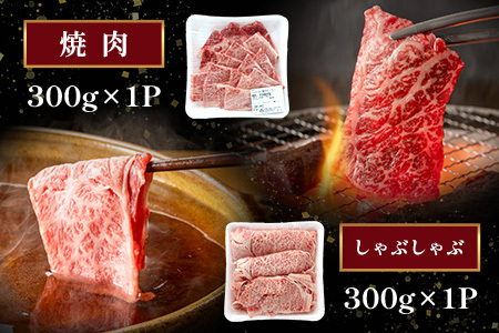 A4・A5 くまもと黒毛和牛 ロース セット 計600g ( すき焼き 300g / 焼肉 300g ) 本場 熊本県 ブランド 牛 黒毛 和牛 厳選 肉 上質 113-0506