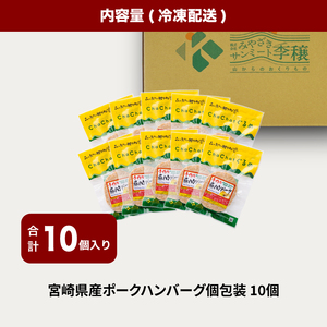 宮崎県産 ポークハンバーグ個包装(10個/冷凍)　K16_0163