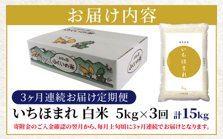 【3ヶ月定期便】【令和7年産】福井県産 いちほまれ（白米）5kg×3回　計15kg[C-097001]