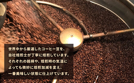 【3ヶ月定期便】【こおふぃ屋】ドリップバッグコーヒー 100袋 （10種類×10個）珈琲 コーヒー ドリップバック 定期便 飲み比べ