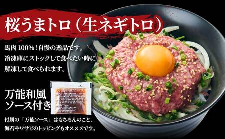 馬刺し 訳あり 合計1.04kg 馬肉