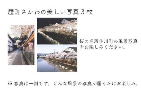 古き良き文化と酒蔵のある街並み・歴町さかわ　ひのきセット