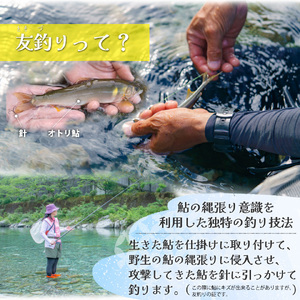 【ふるさと納税】＜鮎屋仁淀川の仁淀ブルー友釣あゆで作るパエリアセット＞先行予約 天然鮎 ミールキット 料理キット パエリア キャンプ飯 アウトドア 簡単調理 あゆ アユ 香魚 国産 高知県 佐川町 鮮度抜群 【冷凍】 NIYODOBLUE