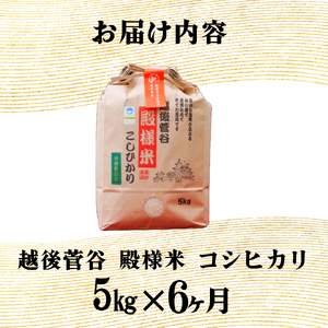 【定期便】令和7年産 新潟県産 越後菅谷殿様米 5㎏ 6ヵ月 30kg 玄米 新潟県 新潟産 新発田産 米 コシヒカリ 特別栽培米 越後菅谷米販売 5kg 6ヵ月 定期便 殿様 数量限定  D16_03