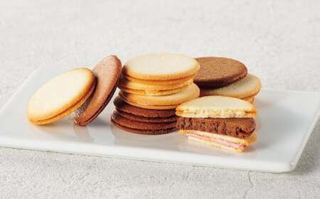 Bon Bonne ラングドシャ（20枚） ショコラ ストロベリー プレーン チョコ チョコレート お菓子 菓子 スイーツ ギフト