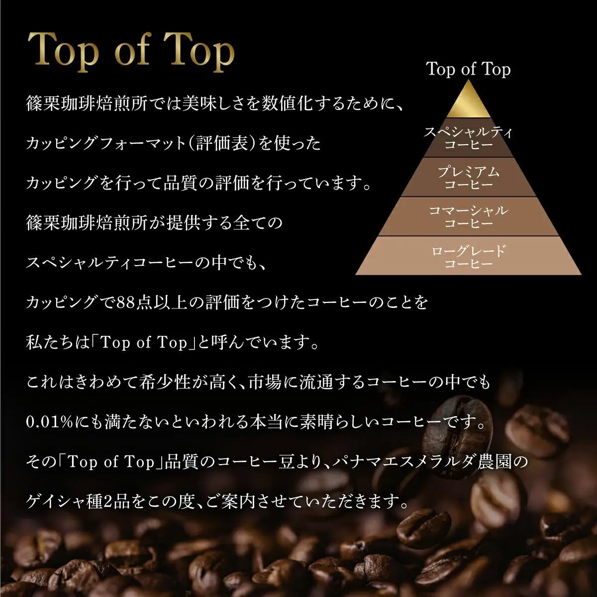 パナマ エスメラルダ農園ゲイシャ2種の詰め合わせセット 100g×2袋 (豆）AX04
