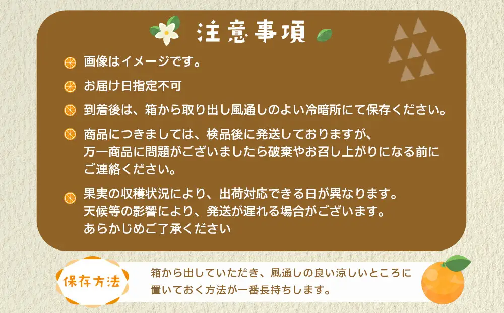 産地直送 有田みかん サイズ 不揃い 約5kg 喜楽farms 【2026年11月以降順次発送】