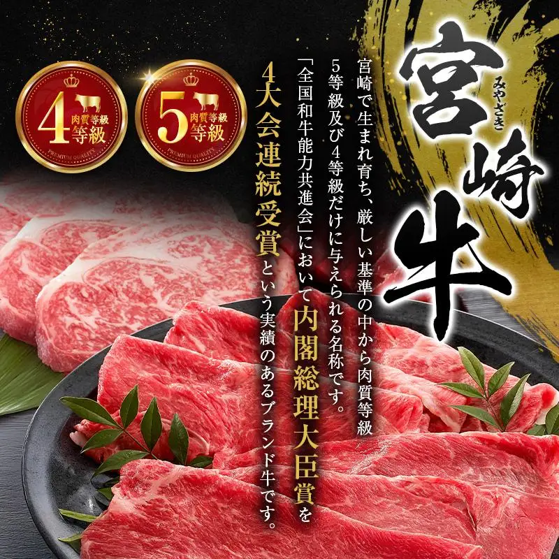宮崎牛 ビーフジャーキー 20袋 (30g×20袋) おつまみ 宮崎県産