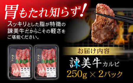 【お中元対応可】【特Aのブランド米で育てた】諫美牛 カルビ 500g(250g×2) / 牛肉 ぎゅうにく 和牛 牛 肉 国産 かるび 焼肉 やきにく / 諫早市 / 株式会社土井農場 [AHAD091]