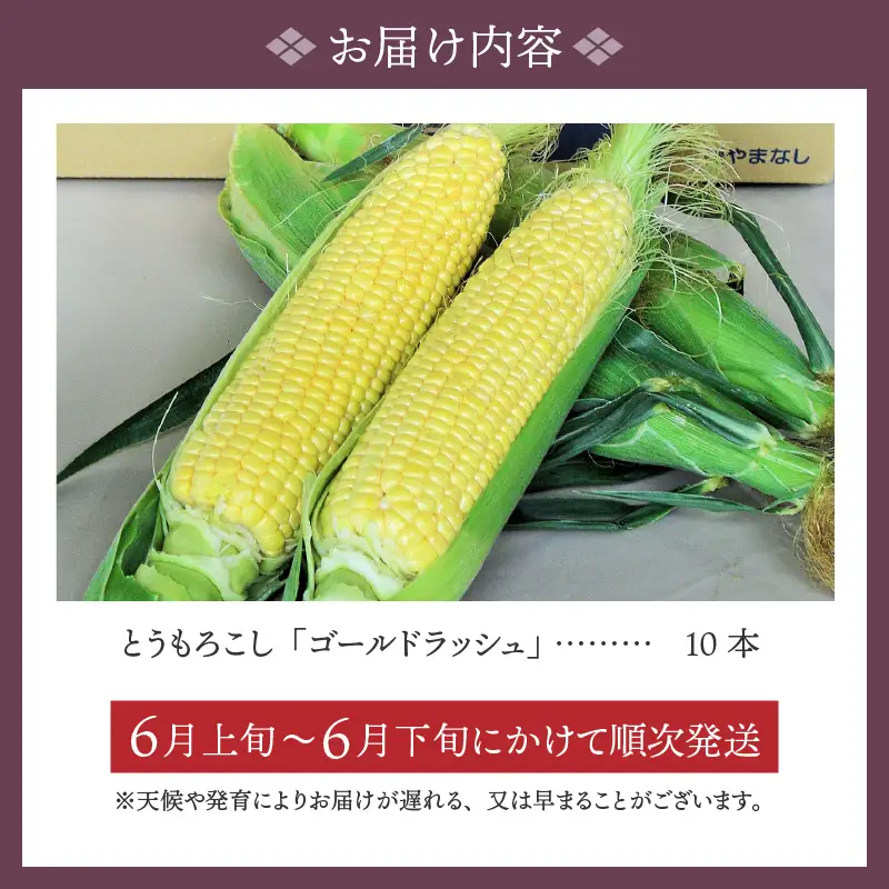 〈2026年度配送分〉とうもろこし「ゴールドラッシュ」 10本（2026年6月上旬～下旬にかけて順次配送予定）