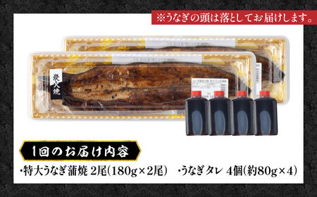 【6回定期便】うなぎ 国産 蒲焼 特大2尾 /すみまる [UDH041] うなぎ 蒲焼き