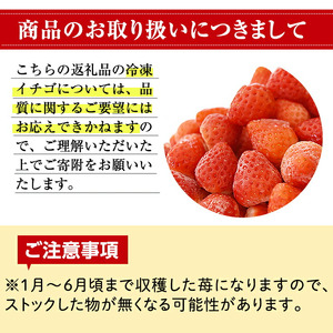 No.1183 冷凍いちご(計約2.55kg・約850g×3P) 国産 九州産 苺 いちご イチゴ 冷凍 果物 フルーツ 減農薬 アイス【片平観光農園】