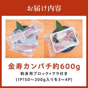 金寿カンパチ600ｇアラ付き（刺身用ブロック＋アラ付き） N015-YB091