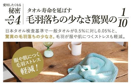 （今治タオルブランド認定品）ASiTA BALANCE シリーズ フェイスタオル２枚セット ブルー【I002170FT2B】
