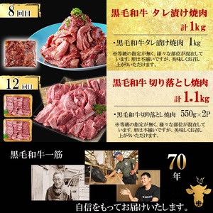 【定期便全12回】超豪華！黒毛和牛堪能贅沢定期便！(総重量19kg超) 鹿児島県産 黒毛和牛 和牛 肉 牛肉 国産 九州産 鹿児島県産 焼肉 BBQ 日本一 ランキング 人気 A4 A5 ステーキ 切り落とし ハンバーグ カルビ ミスジ 訳あり t0365-001