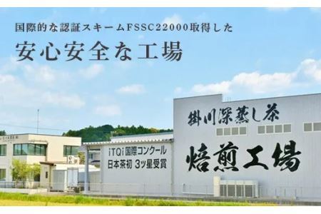 【訳あり】深蒸し掛川茶 1kg「昨年のお茶でもいいよ」という方にぴったり。100g×10本入【配送不可地域：離島・沖縄県】【1132961】