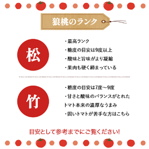 【先行予約／2027年3月中旬から発送】四万十育ち「狼桃」 糖度9度以上 松タイプ 小箱（18～45個入） Fdf-A09 フルーツトマト トマト