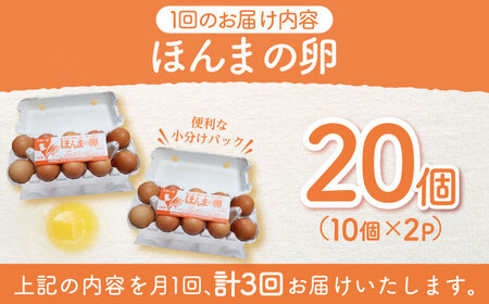 【全3回定期便】平飼いニワトリの有精卵！ほんまの卵定期便 計60個（20個×3回） / 佐賀県 / 本間農園 [41AJAA019]
