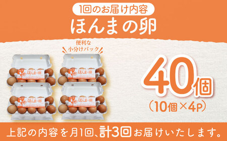 【全3回定期便】平飼いニワトリの有精卵！ほんまの卵定期便 計120個（40個×3回） / 佐賀県 / 本間農園 [41AJAA021]