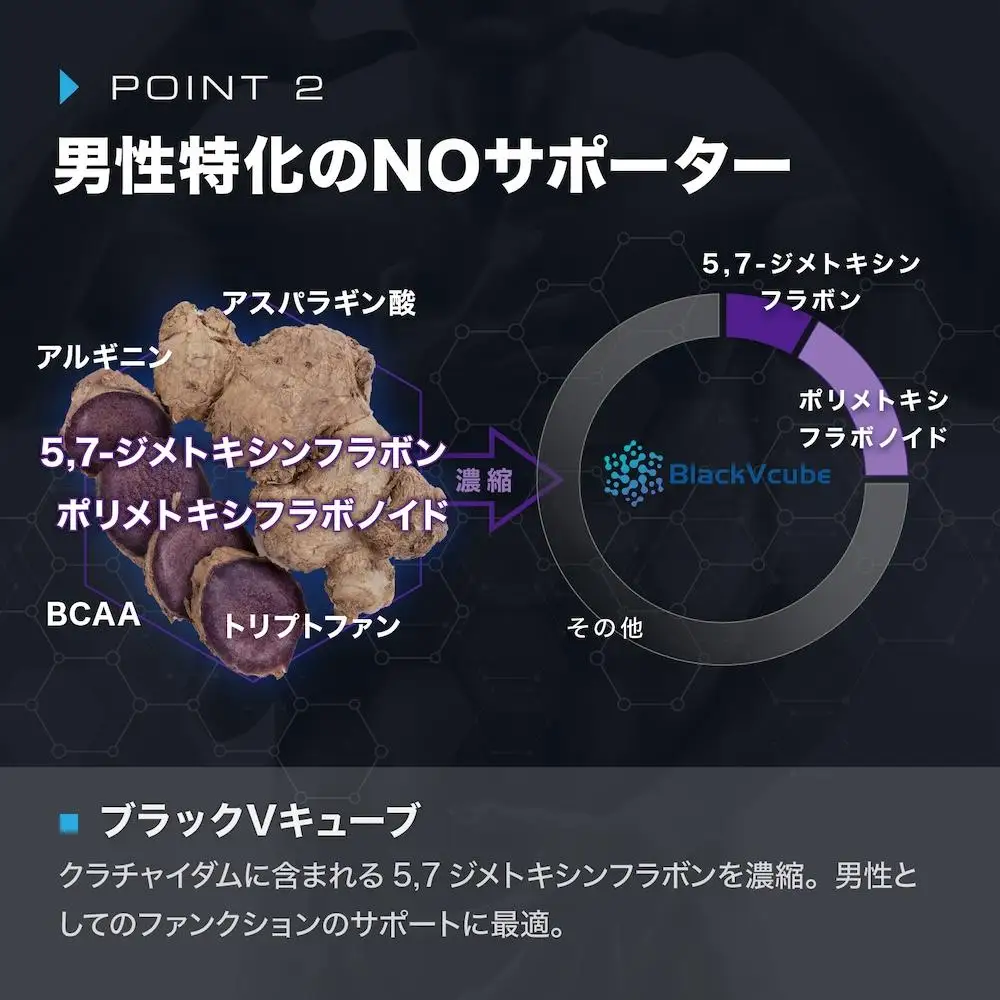 【ニトロキューブNOX】 NO系サプリ 1袋・90粒｜ブラックVキューブ オキシストーム｜ナイトプロテイン
