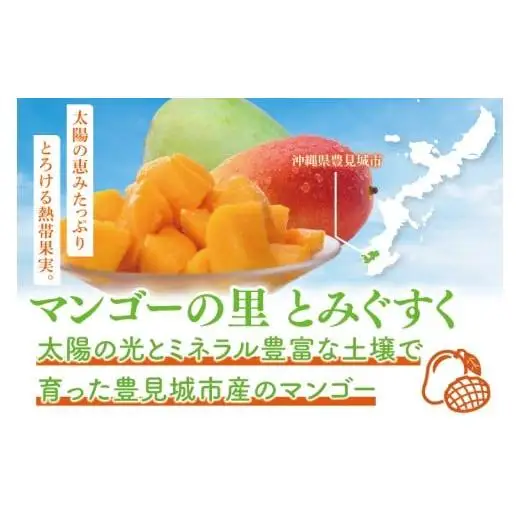 菜々色畑の赤秀アーウィンマンゴー 3～5玉(約2kg)【化粧箱】