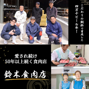 【定期便3回／隔月】四万十麦酒牛 焼肉用厚切りセット (450g×3回) Sasz-01 麦酒牛 厚切り肉 国産牛 冷凍 焼肉 セット