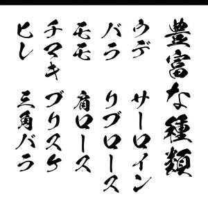 【和牛セレブ】能登牛 一頭買い（12分割配送） 牛肉 最高級 一頭買い 黒毛和牛 能登牛 和牛セレブ F6P-2157