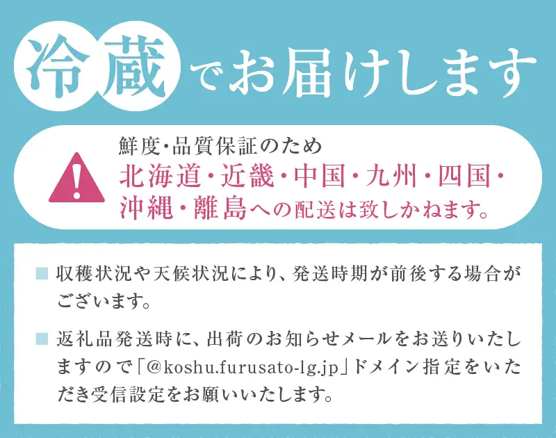 訳ありの桃《大容量》約3kg【2026年発送】（MG）A08-470 桃 フルーツ