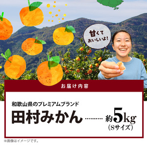 AB7309_ 【2026年先行予約】プレミアムブランド 田村みかん Sサイズ 秀品  約5kg _ 和歌山県産 小玉 小さい 蜜柑 ミカン フルーツ 果物 ギフト お歳暮 完熟