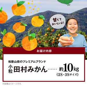 AB7310_【2026年先行予約】小粒田村みかん 2S・3Sサイズ 秀品 約10kg _ 和歌山プレミアムブランドみかん 小玉 小さい 蜜柑 ミカン フルーツ 果物 ギフト お歳暮
