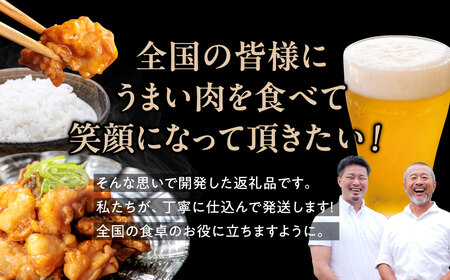 ホルモン ミックス 1.2kg 牛ホルモン 9-020