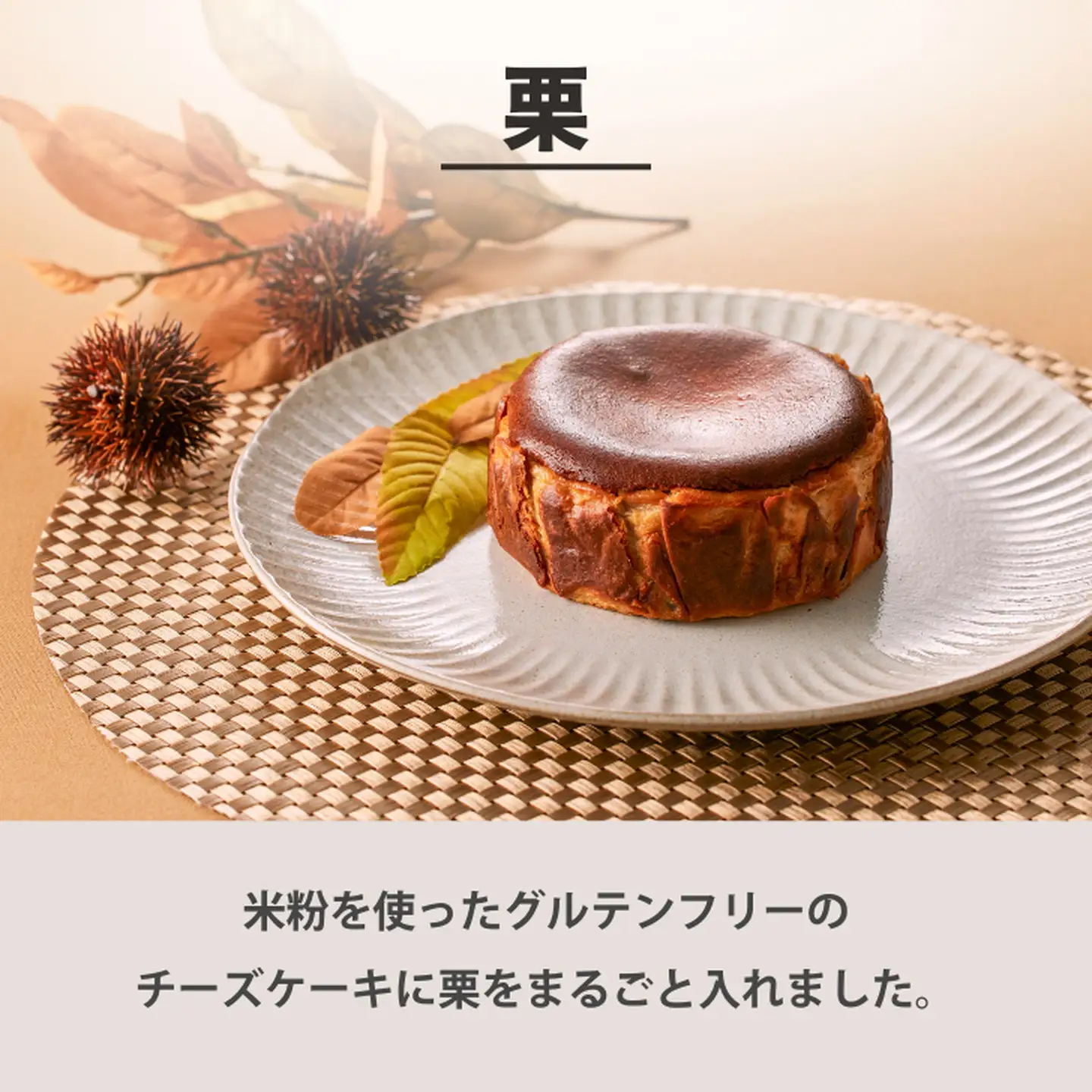 【定期便6回】バスクチーズケーキ6種食べ比べ：B525-004