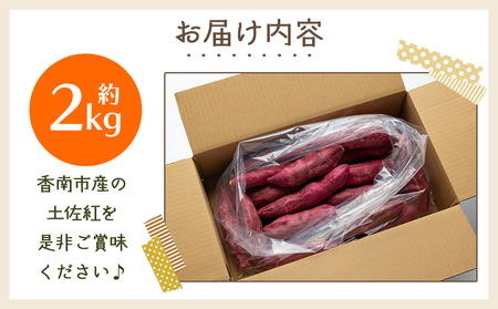 【８月発送開始】さつまいも（土佐紅） 2kg 【さつまいも 野菜 さつまいも やさい さつまいも 芋 さつまいも 旬 さつまいも 国産 さつまいも おすすめ さつまいも】 yr-0042