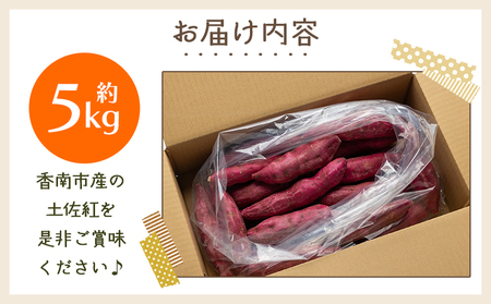 【８月発送開始】さつまいも（土佐紅）5kg - サツマイモ さつま芋 野菜 焼き芋 やきいも 焼いも おやつ スイーツ スイートポテト バター焼き アレンジ 料理 国産 高知県 香南市 yr-0045