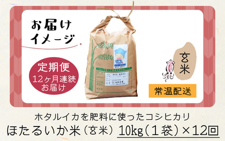 ほたるいか米　米定期便 コシヒカリ10kg 12か月 玄米10kg　定期便 [O-021001]