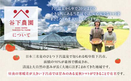 先行予約【2026年7月上旬頃から順次発送】【期間限定】≪有機JAS認証≫地元下呂市の人気者！大地の恵みがぎゅーっと詰まった果肉が厚い 大玉トマト 約 4kg（サイズ混合）《飛騨下呂産》麗月 とまと 産地直送【61-18】