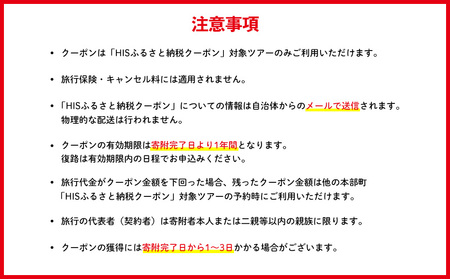 HISふるさと納税クーポン（沖縄県本部町）6千円分 観光