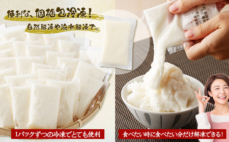 【2ヶ月定期便】ネバリスター冷凍とろろパック(50g×30個) 【長芋 山芋 イチョウ芋 大和芋 とろろ 粘り 冷凍 小分け パック 個包装 簡単 便利 プレーン 贈り物 贈答 ギフト 青森県 東北】【02402-0340】