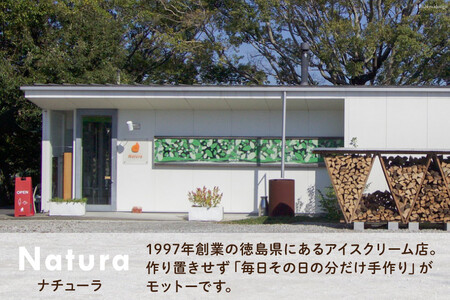 アイス 訳あり 12個 セット 詰め合わせ [ナチューラ 徳島県 北島町 29am0010]